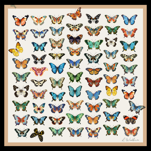 Mariposa