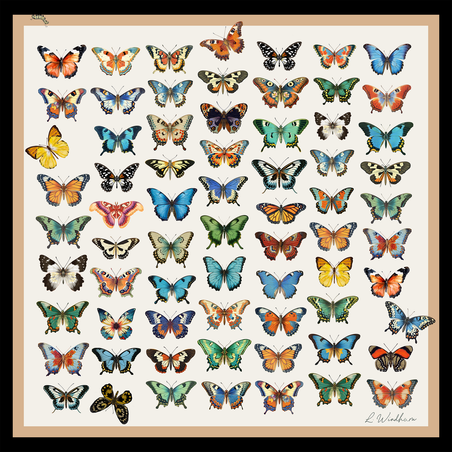 Mariposa