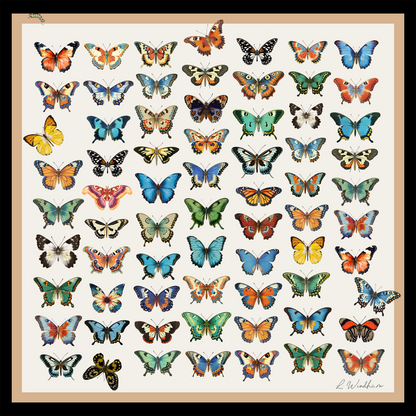 Mariposa