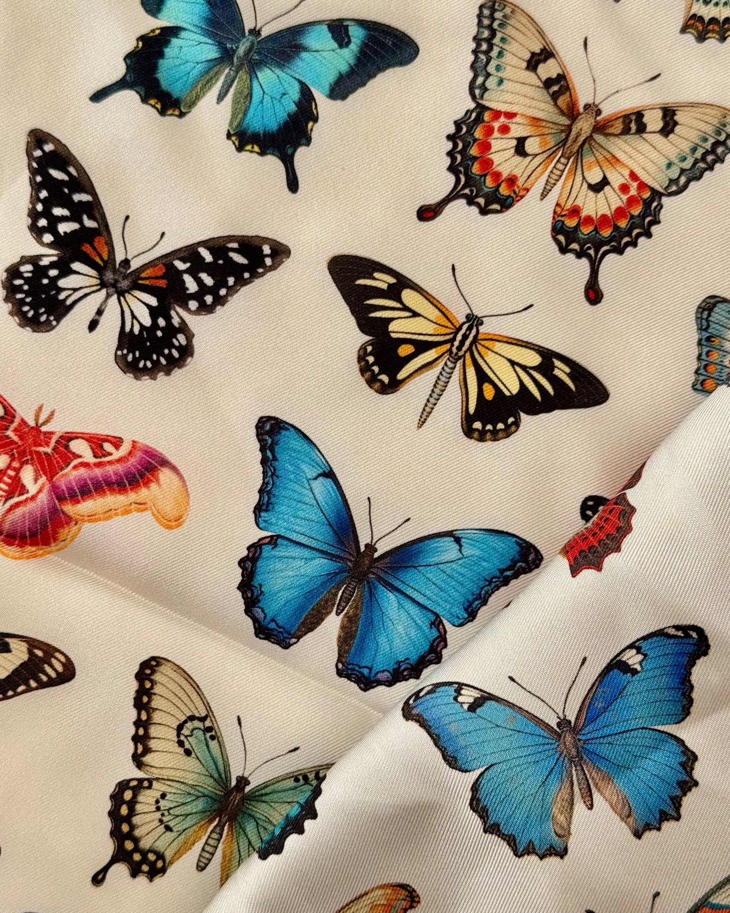 Mariposa