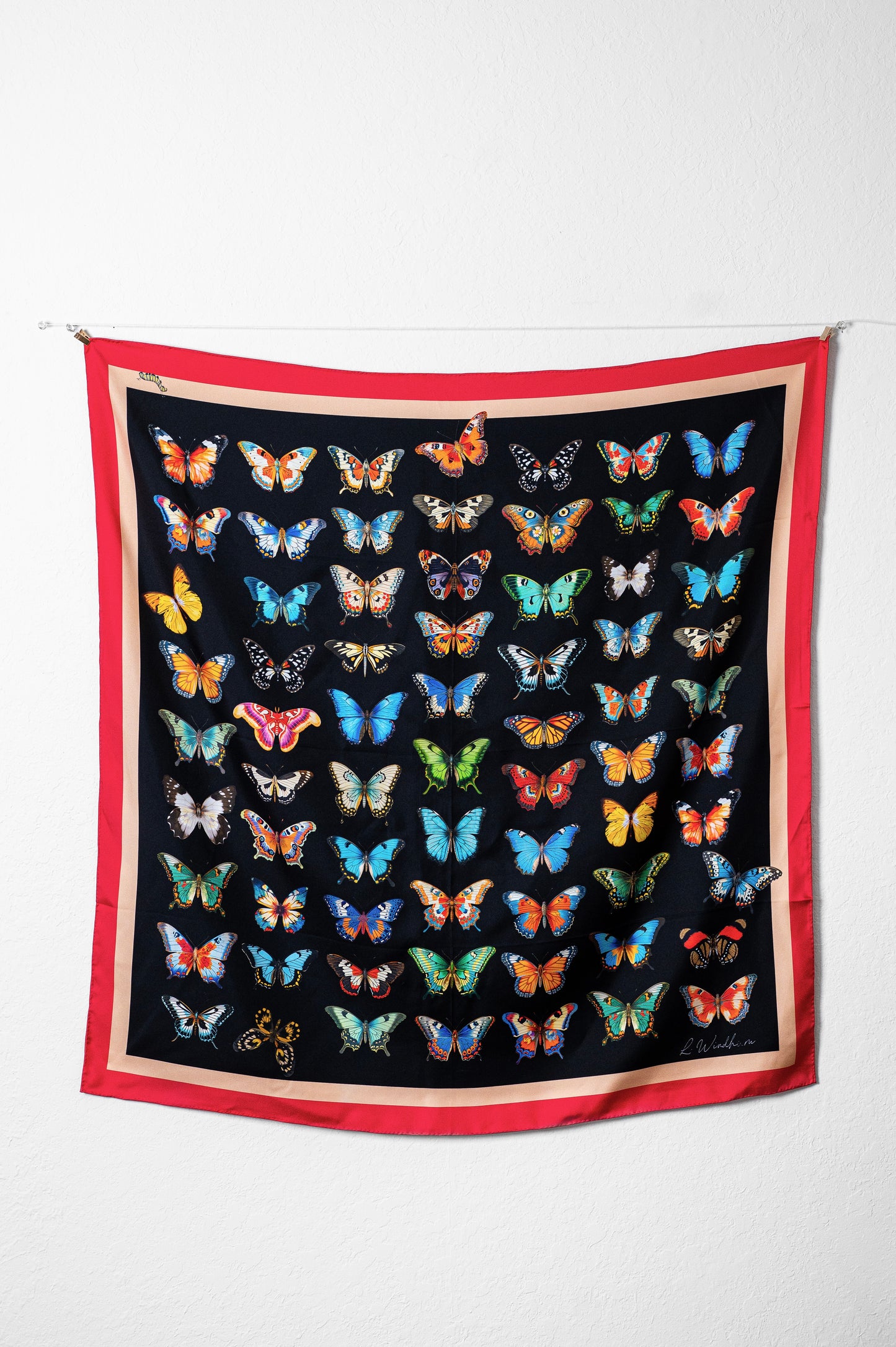 Mariposa Noir