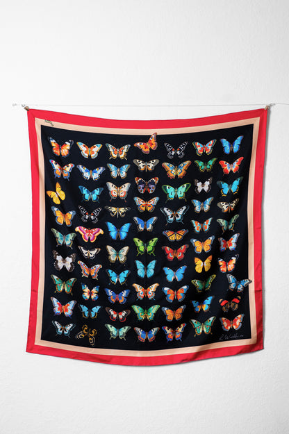 Mariposa Noir